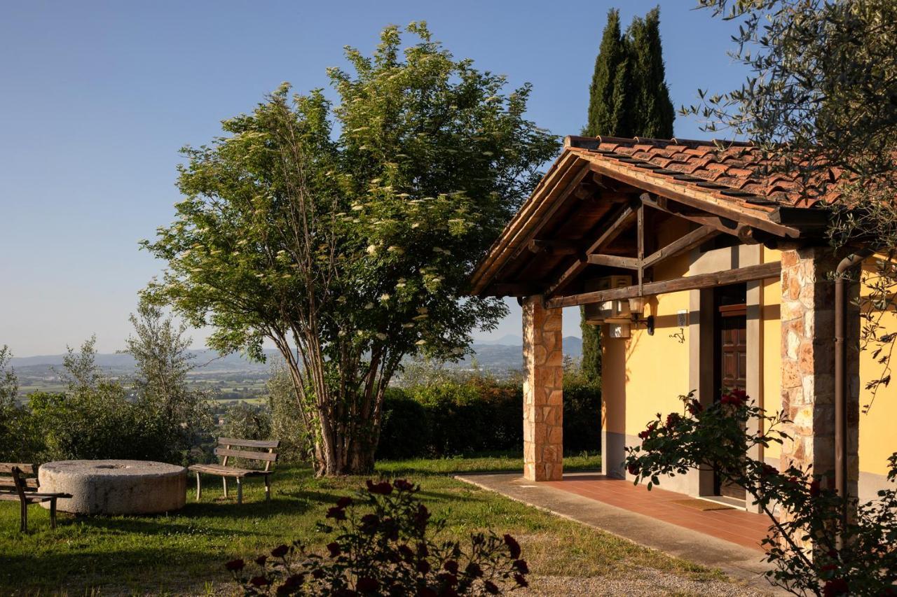 הוילה בטונה Il Poggio Degli Olivi מראה חיצוני תמונה